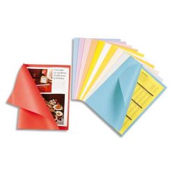 Sous chemises assorties ; 250 pièces