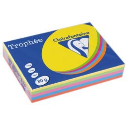Feuilles A4 couleurs intense 80 G/M² - 1 ramette
